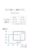 サスペンダー ストッキング 2足組 20デニール（UV対策 抗菌防臭加工）