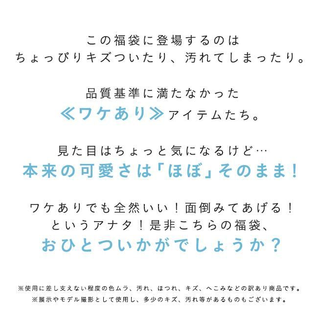 デザイン選べる！バッグ福袋 送料無料 | welleg（ウェレッグ